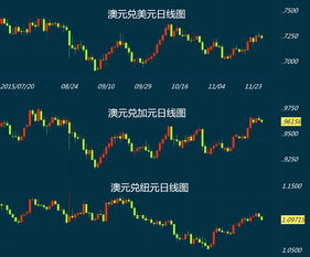 美元再漲也不怕 逆勢投機者為何涌入商品貨幣？